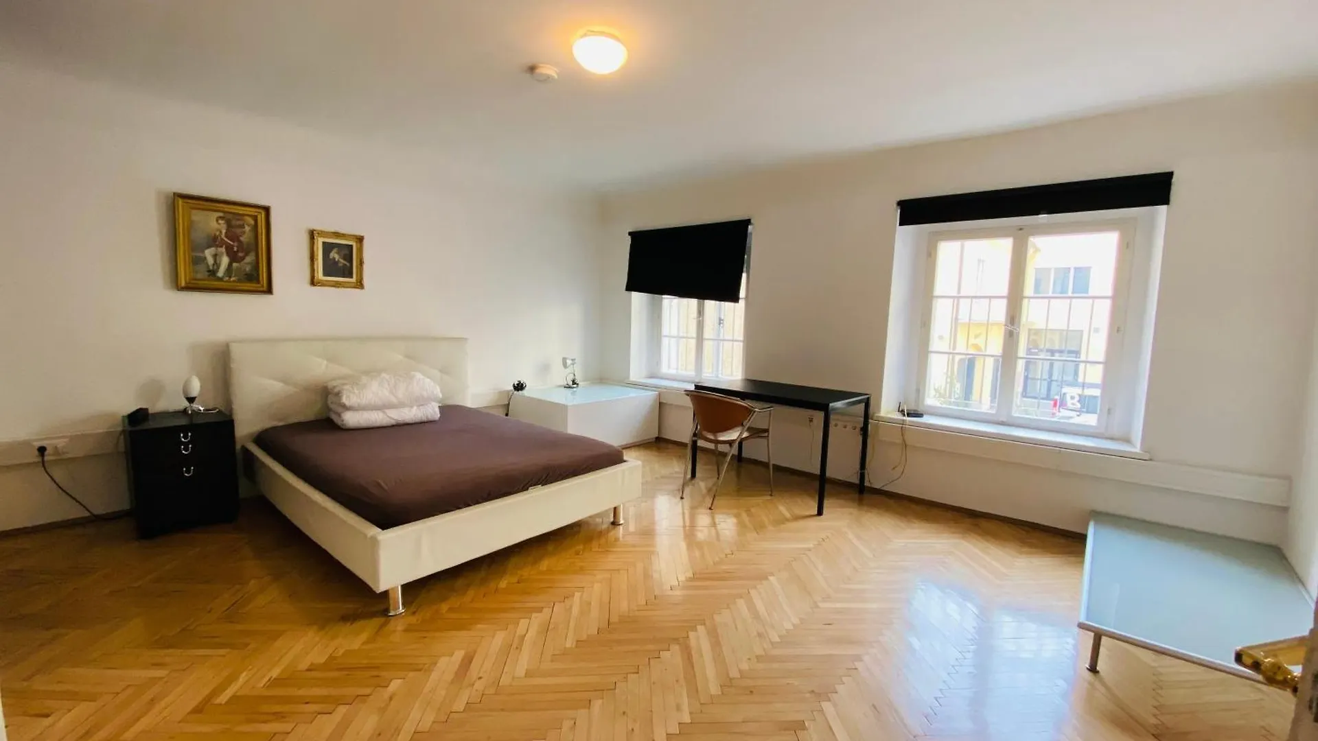 Apartment Fuer 8 Personen, Ruhig, Graz Zentrum
